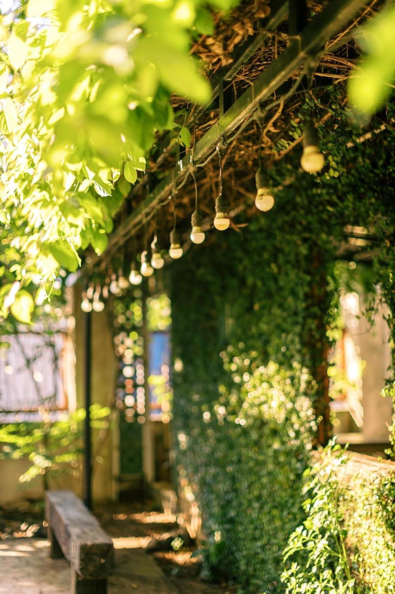 Yellow Farm Homestay Dong Tac Kültér fotó