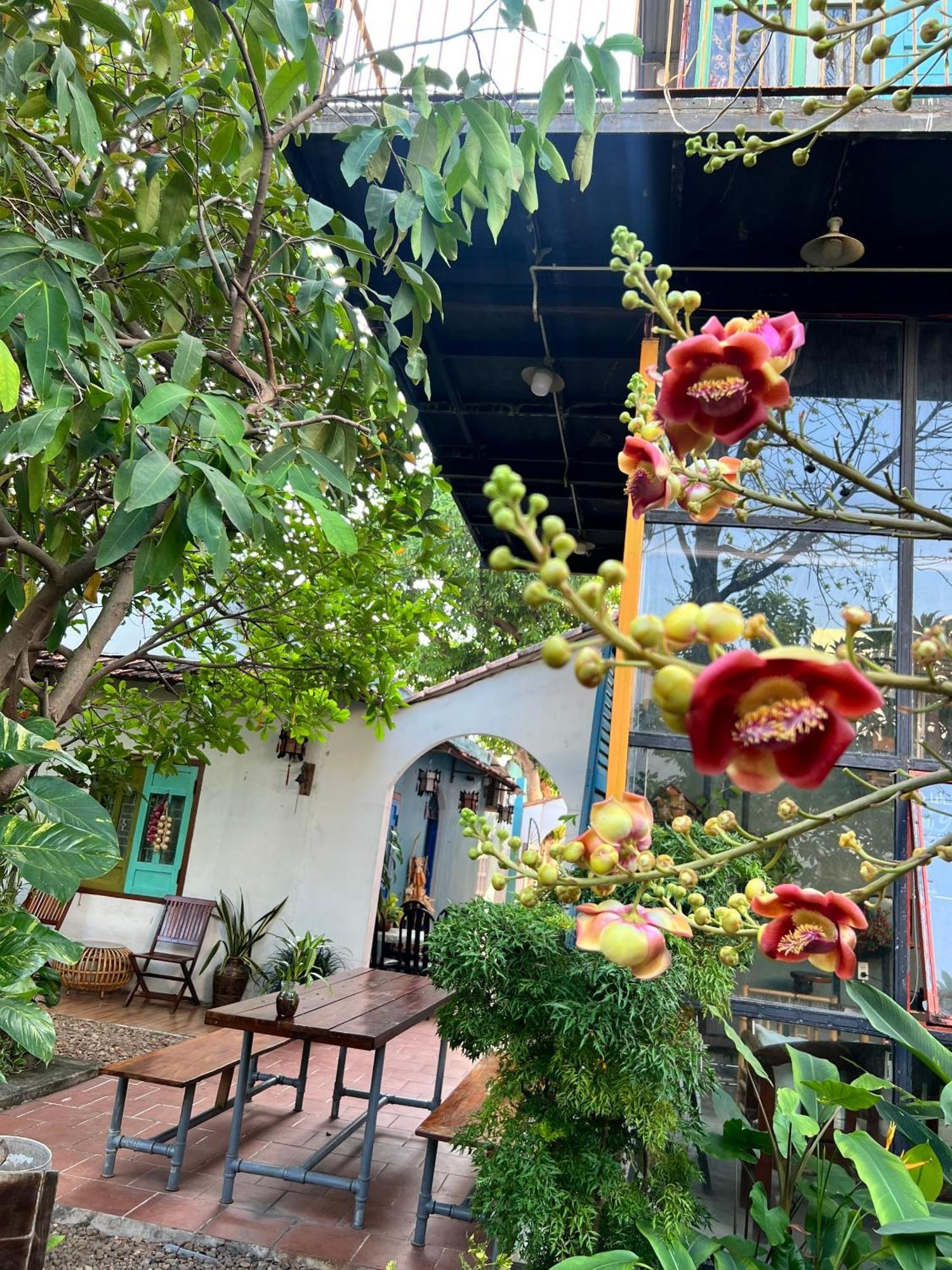Yellow Farm Homestay Dong Tac Kültér fotó